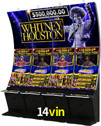 Premium Interface 14vin