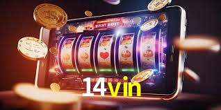 Experiência VIP 14vin