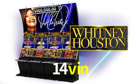 Roulette Table 14vin