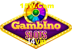 Live Casino 14vin